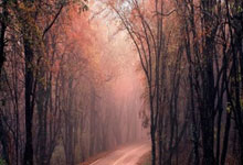 雷竞技-Doinb新星回归赛场表现惊艳，独行侠未来可期！的简单介绍